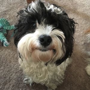 Meet your Posher, Claire